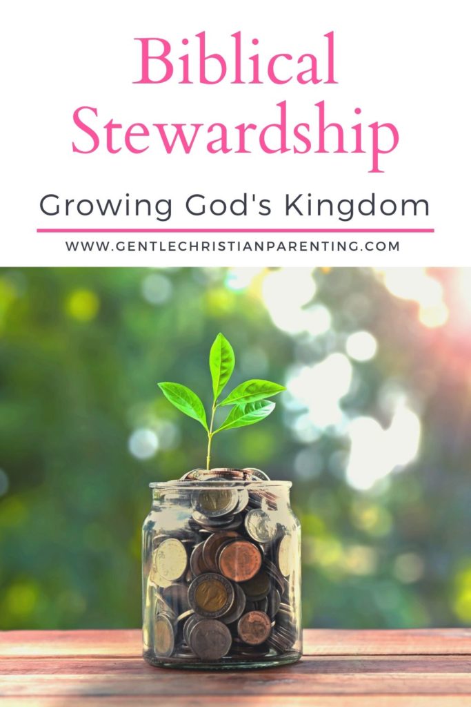 jar with money and a small plant growing out of it - biblical stewardship