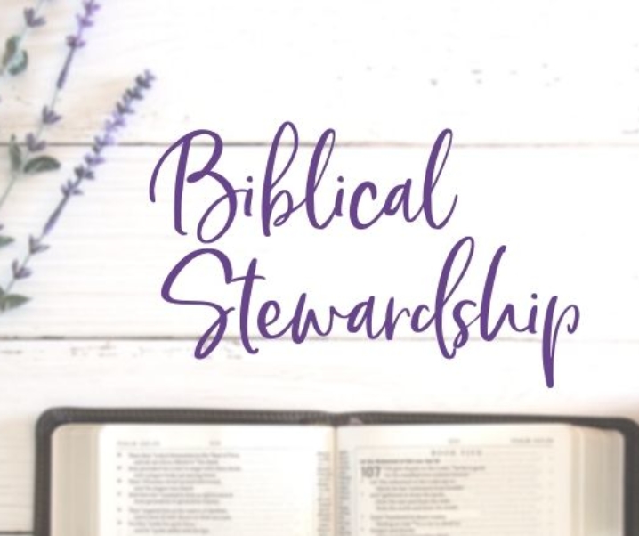 What It Means to Be a Good Steward in the Bible with Examples