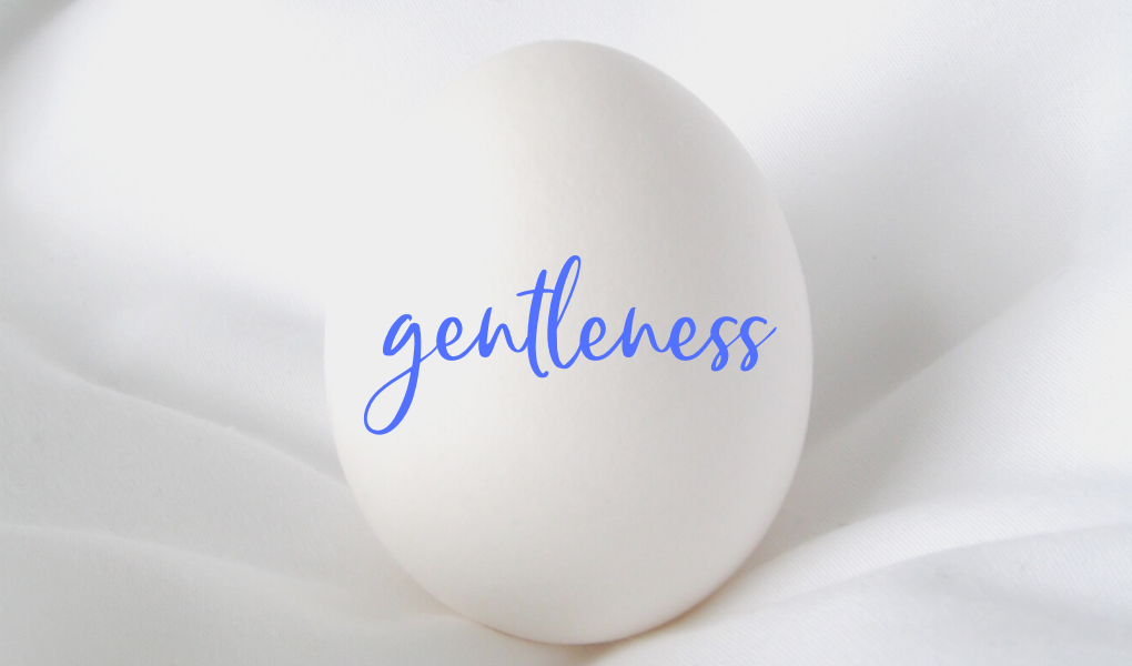 gentleness bible study